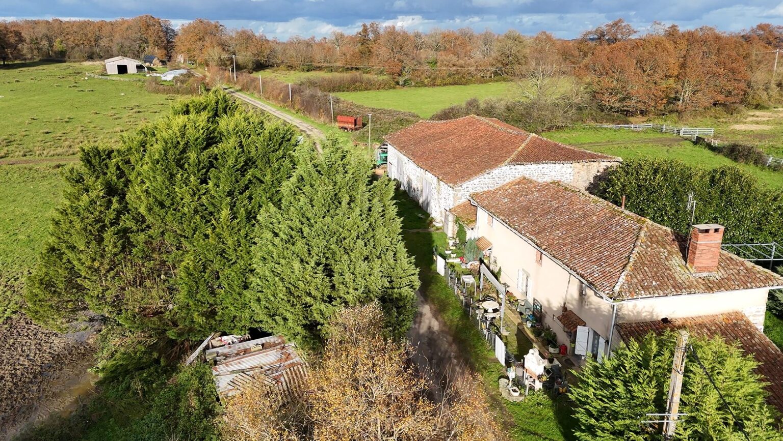 Beef farm, Nouvelle Aquitaine, Charente